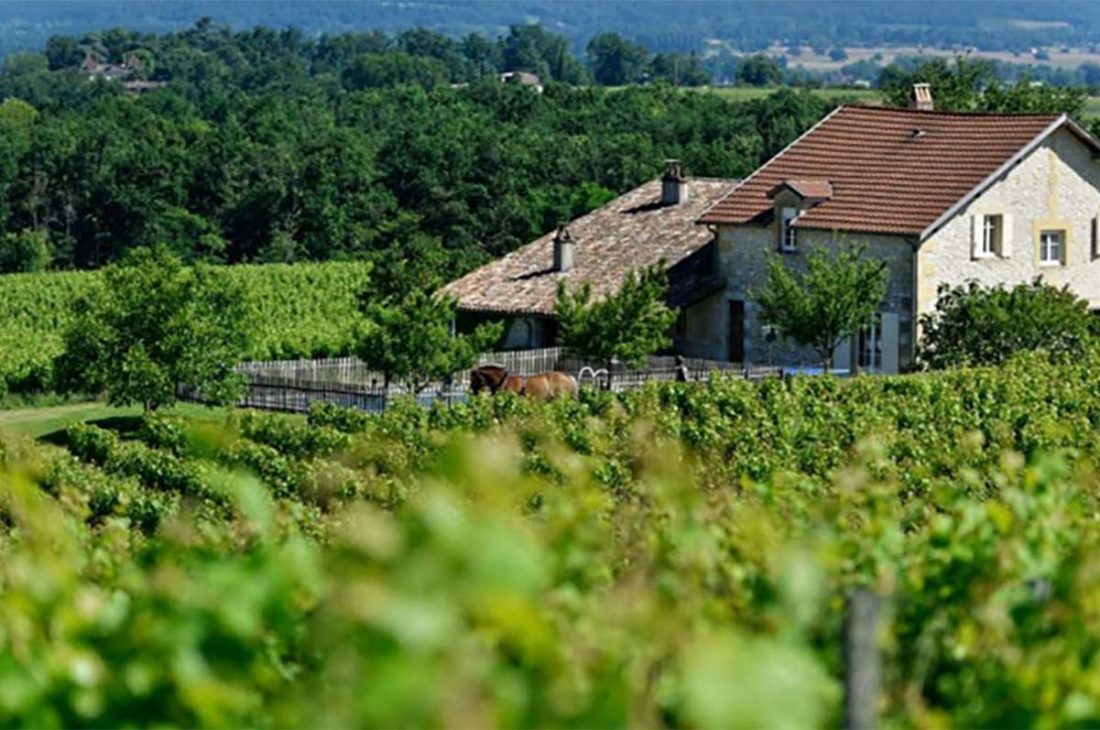 Biodynamique Bergerac, Biodynamique Dordogne, Biodynamique Gironde, Producteur de vin bio Bergerac, Producteur de vin bio Dordogne, Producteur de vin bio Gironde, Vin bio Bergerac, Vin bio Dordogne, Vin bio Gironde, Vin biologique Bergerac, Vin biologique Dordogne, Vin biologique Gironde